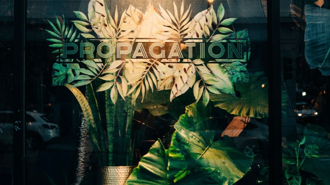 PROPAGATION